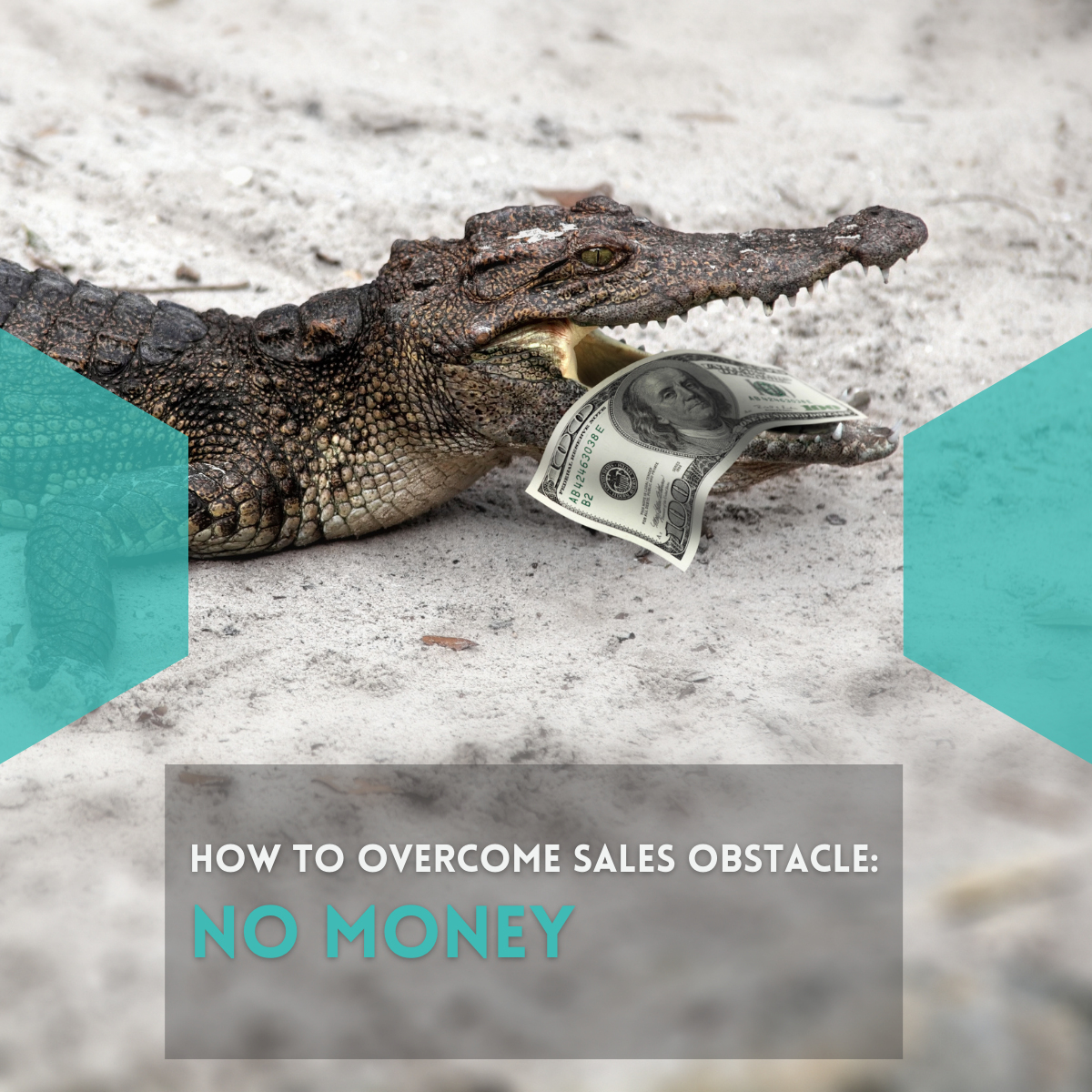 FranchIse Sales Obstacle: No Money