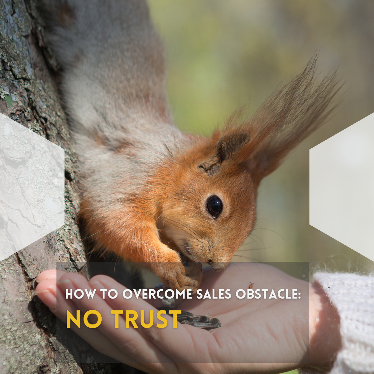 FranchIse Sales Obstacle: No Trust